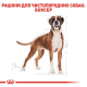Royal Canin Boxer Adult